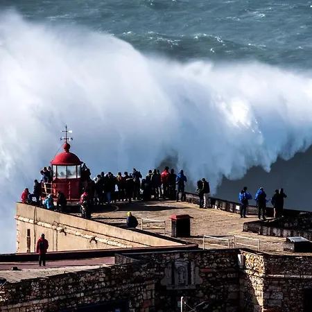 아파트 Rosa House