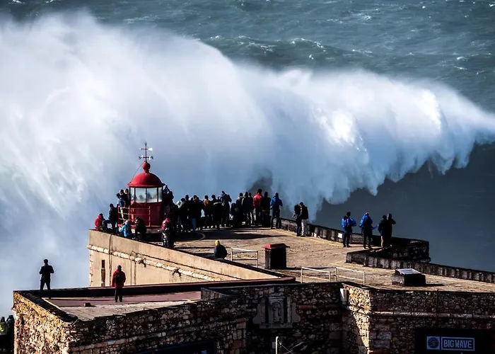 アパート Rosa House